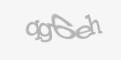 Código de segurança