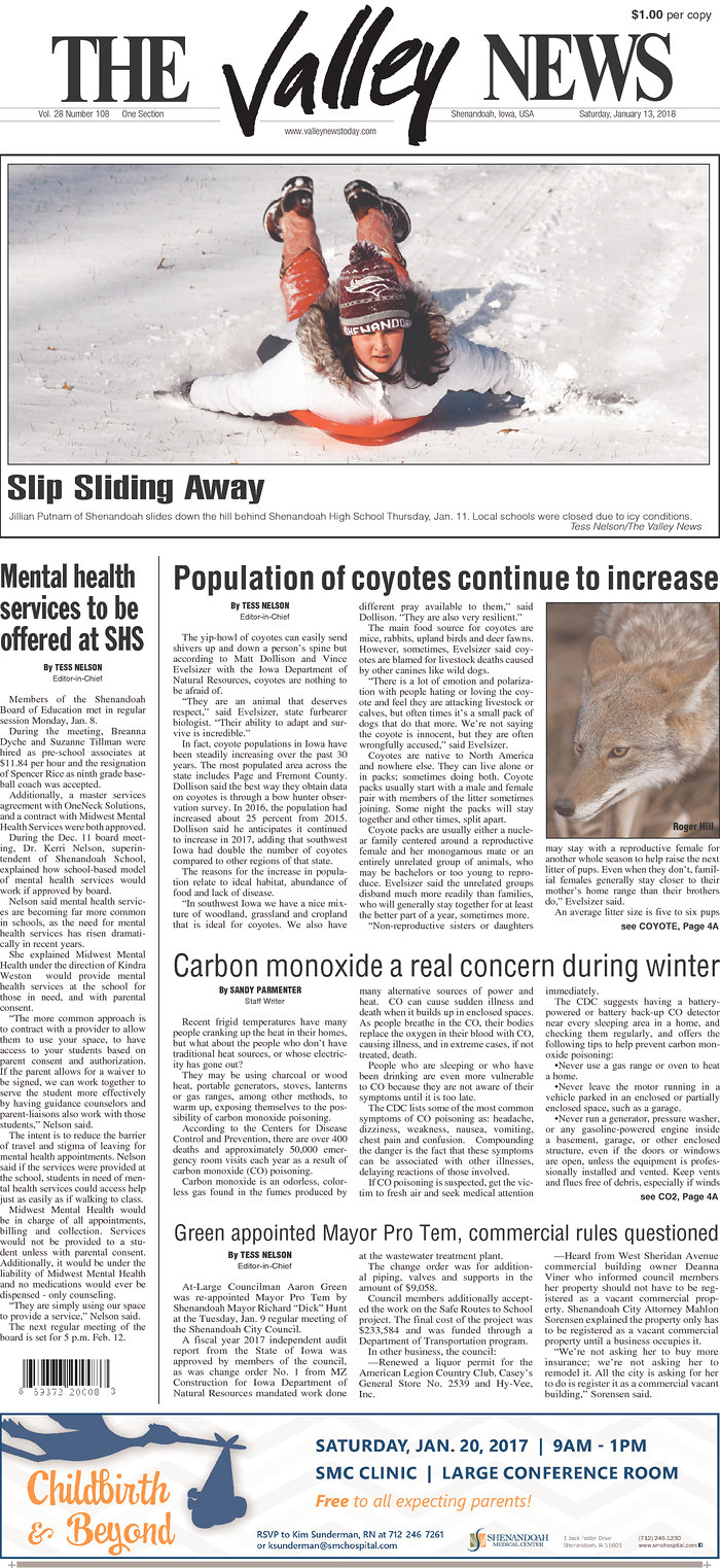 The Valley News - Iowa